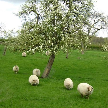 Hoeve Schevey Malines Esterno foto