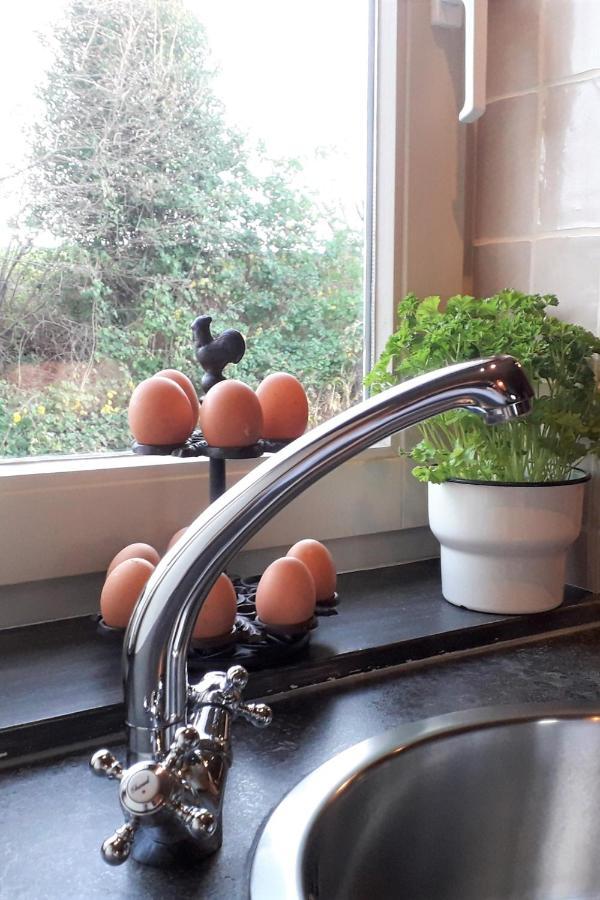 Hoeve Schevey Malines Esterno foto